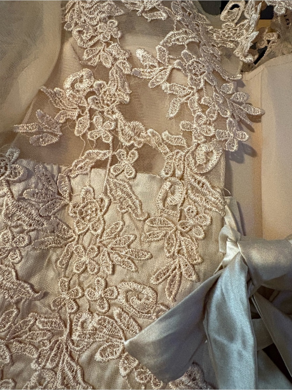 Elegant Lace A-Line Wedding Dress in beige - Picture 9 of 10